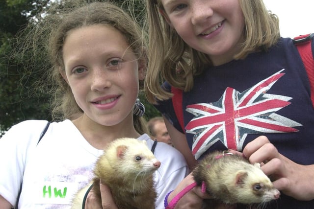 Jessica Whatton, and Charlotte Ryves from South Normanton are seen with their ferrets Mo and Keisho back in 1998