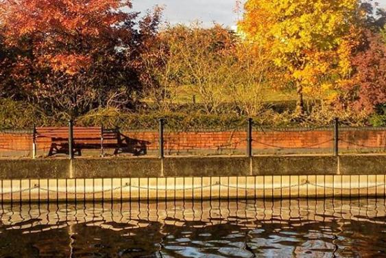 A common favourite walk in Doncaster is around the Lakeside path - made even more lovely with autumnal scenery. Taken by @sarahphotos14