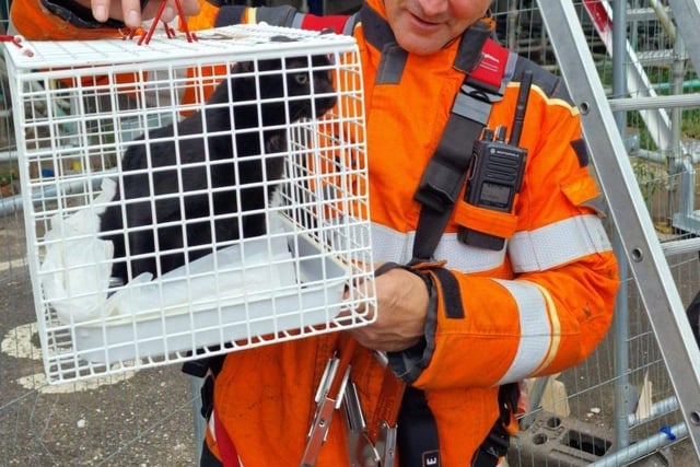 Murka with one of the rescuers