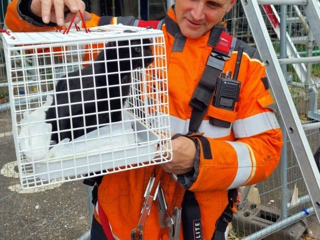 Murka with one of the rescuers
