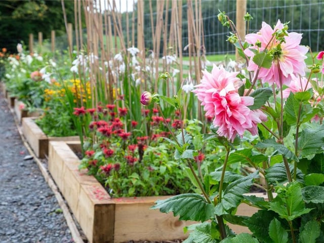 Garden.
