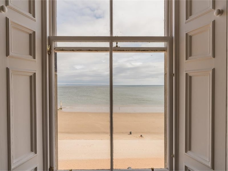 View from dining room.