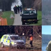 South Yorkshire Police has revealed how a sweep of Manor Fields Park in search of the weapon that killed Carlo Giannini turned up four knives.