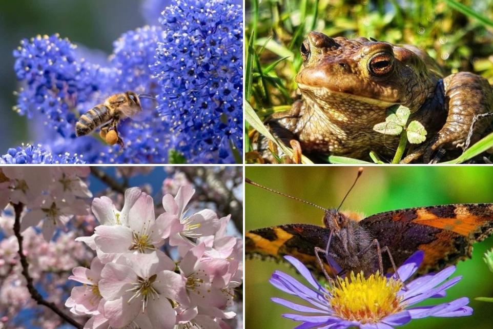 Wonderful photos that we have featured on our Instagram.