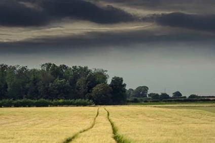 A lovely landscape from @theskysthelimit.photography of stormy skies over a field.