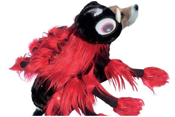 This eye-catching Halloween outfit from B&M is available in sizes extra small to extra large, with the price varying, depending on chosen size. This adorable costume also comes in a Frankenstein, Pumpkin and Bat design. bit.ly/374oWjU