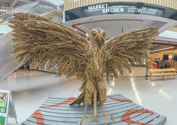 The kestrel on family fun trail project called Twisted – Fantastical Beasts