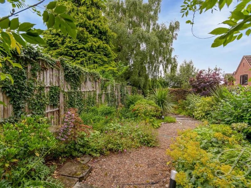Trees and plants are never far away in the garden. But it is a space that has scope for a variety of plans.