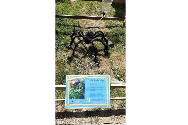 A huge spider, which villagers will be pleased to hear didn't escape