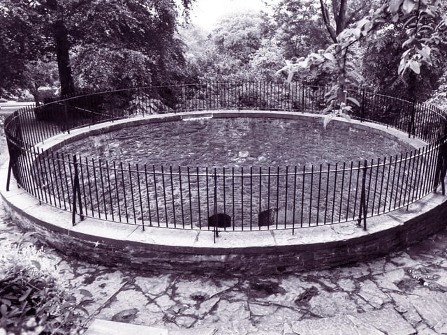 The Bear Pit is the finest surviving example in the UK This is a Grade II listed structure and was built in 1836 to home a black bear in what is now the Botanical Gardens
