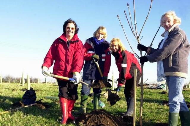 Group planting a chestnut tree in Tickhill's Jubilee Wood. 2002.