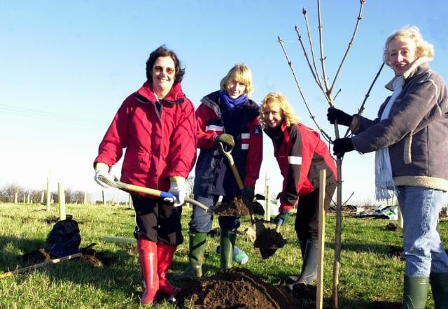 Group planting a chestnut tree in Tickhill's Jubilee Wood. 2002.