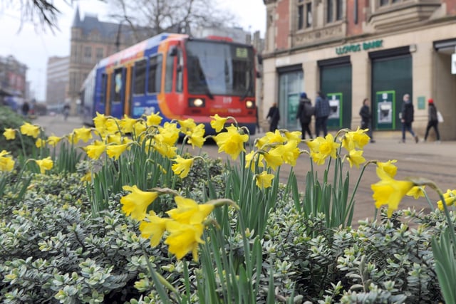 Bus 80p Nine cool things students coming to Sheffield for the first time may ...