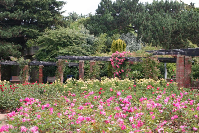 Southsea Rose Garden was a popular suggestion from readers as a great place to visit family.