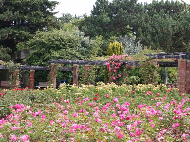Southsea Rose Garden was a popular suggestion from readers as a great place to visit family.