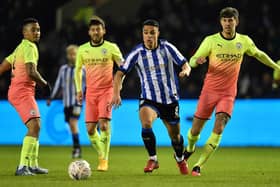 Sheffield Wednesday have lined up in a number of formations this season, switching mainly between a 4-4-2 and a 4-1-4-1.