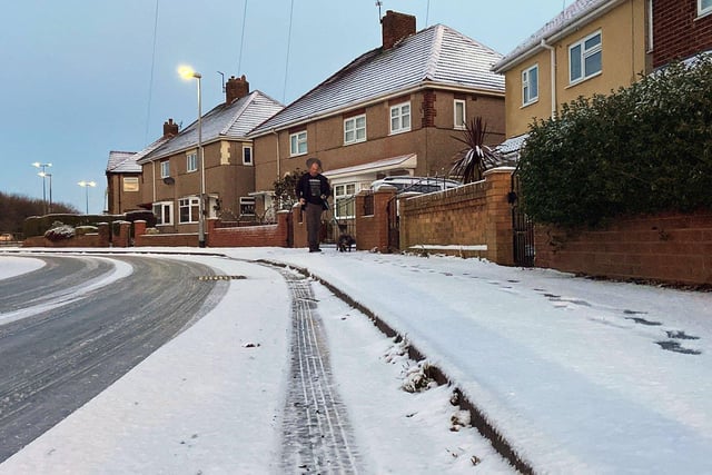 Snow and Ice won't stop this dog from having its morning walk along Easington Road, Hartlepool Picture by FRANK REID