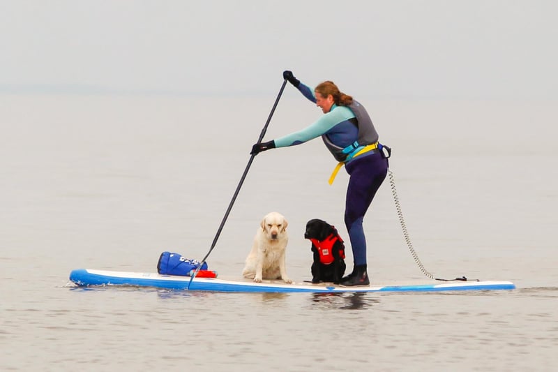 Paddleboarders were out in full swing, including some with dogs onboard, as residents were able to 'stay local' with their activities.