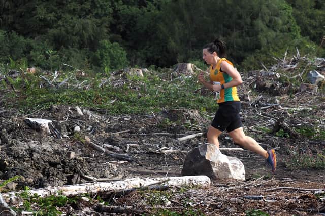 Runner at a trail race through the felled Rough Standhills plantation