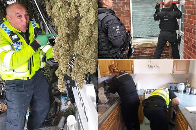 The Sheffield North West neighbourhood policing team has seized £6m worth of cannabis so far