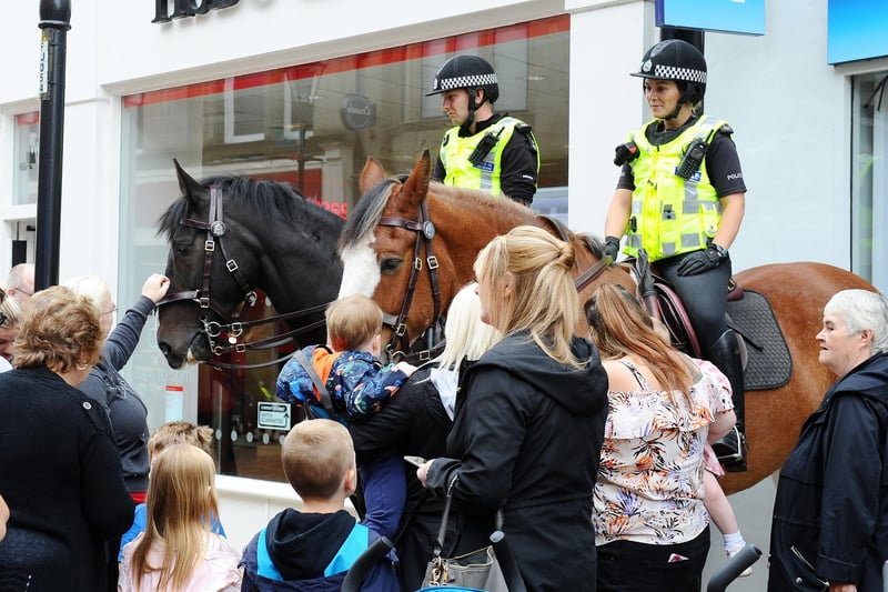 The police horses drew a crowd.