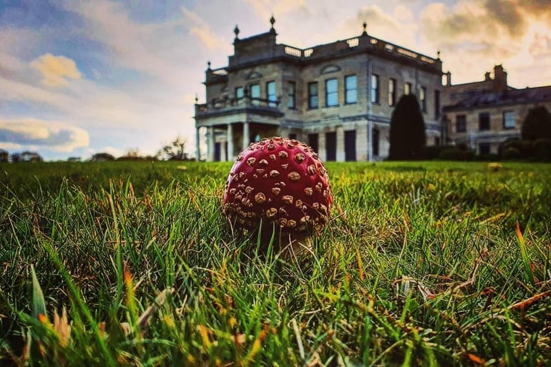A great shot of a mushroom from Richard Smith.