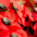 Details of this year's Remembrance Day parade in Rotherham have been announced.