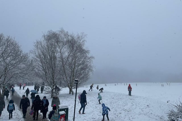 Parks across Sheffield have soon be filling up with families and children looking to enjoy the snow.