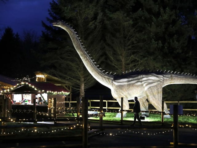 Visitors to Blair Drummond Safari Park near Stirling, Scotland, enjoy the illuminations installed in the Safari Park's new 'World of Dinosaur' exhibit.