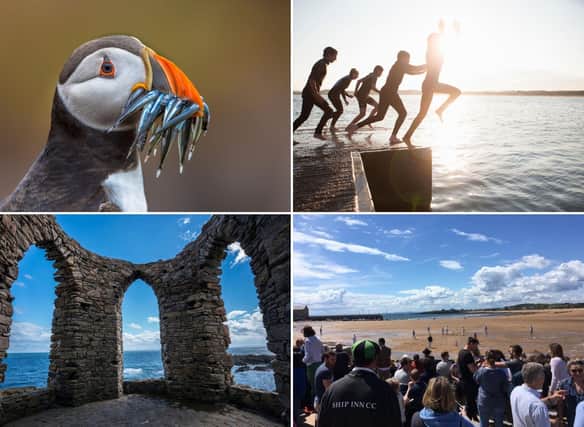 Some of the amazing adventures and experiences on offer in the glorious East Neuk of Fife.