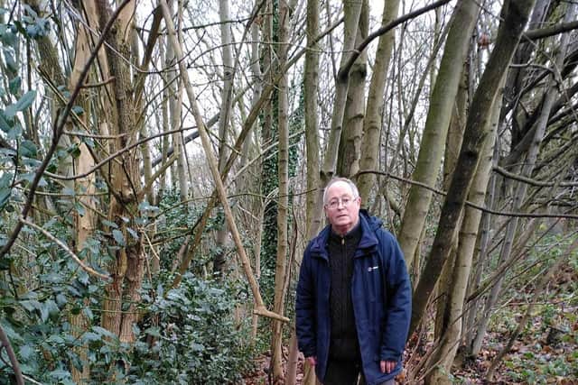 Green Party candidate Bernard Little says more need to be done to tackle fly tipping