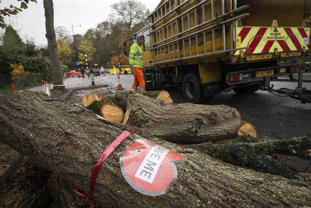 A sign on tree cut down by contractors in Rustlings Road, Sheffield.
