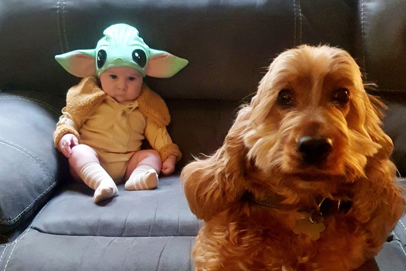 Kaleb Braidwood and his doggy Lucy dressed as Baby Yoda and Chewbacca.