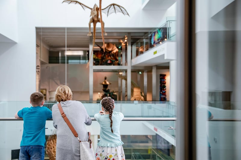 Ulster Museum's three discovery centres are set to reopen in the coming weeks, with Discover Art on July 2, followed by Discover History and Discover Nature on July 17. 
 Visitors must pre-book an arrival time slot in advance.