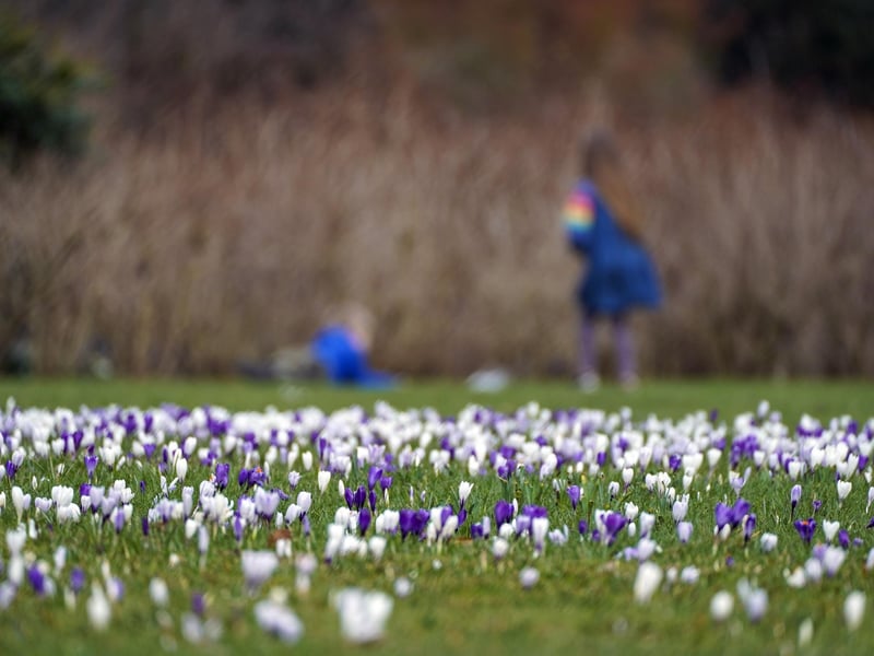Spring is here!