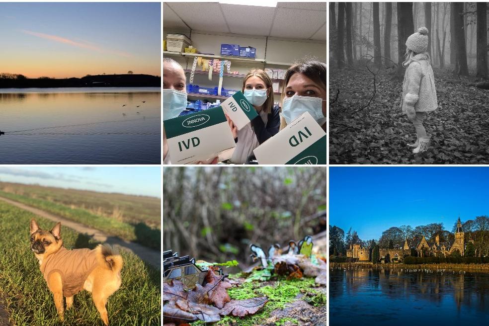 Click through this article to see wonderful photos from our readers.