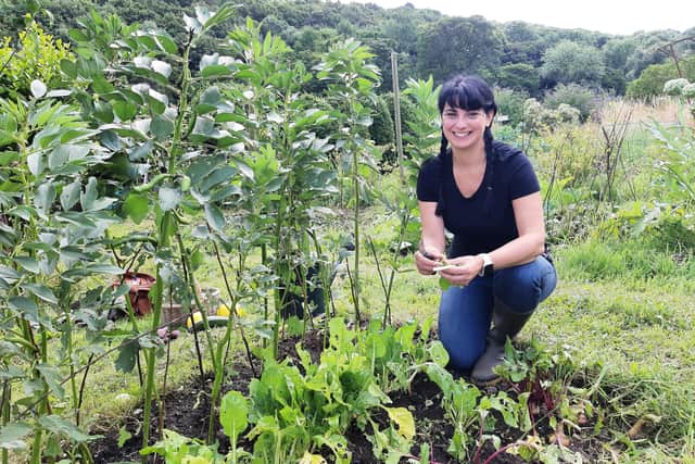 Councillor Angela Argenzio in her allotment. The number of people growing on allotments in the city has rocketed as thousands wait to get a slice of what some have called “the best thing about Sheffield”.