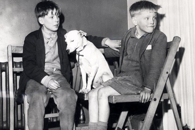 David and William Trigg, safe in a school reception centre after the hurricane in Sheffield in February 1962