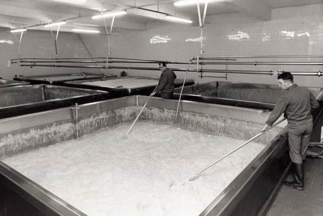 Workers in the fermenting room skimming the yeast from the vessel tops at the Cannon Brewery, January 1990.