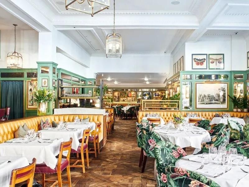 The Ivy in St Helen’s Square, York has a 4.5* rating from 13,054 reviews. An OpenTable reviewer said: “The staff were excellent and nothing was too much trouble. The food was tasty and the portions were good.”