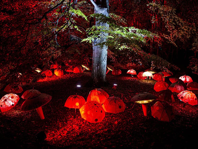 Hopetoun House grounds like you have never seen it before.