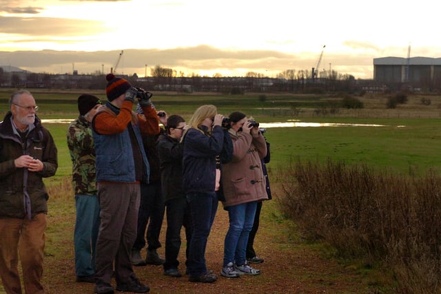 RSPB Saltholme introduced guided walks around its reserve in 2013. Were you among the first party of visitors to take the walk?