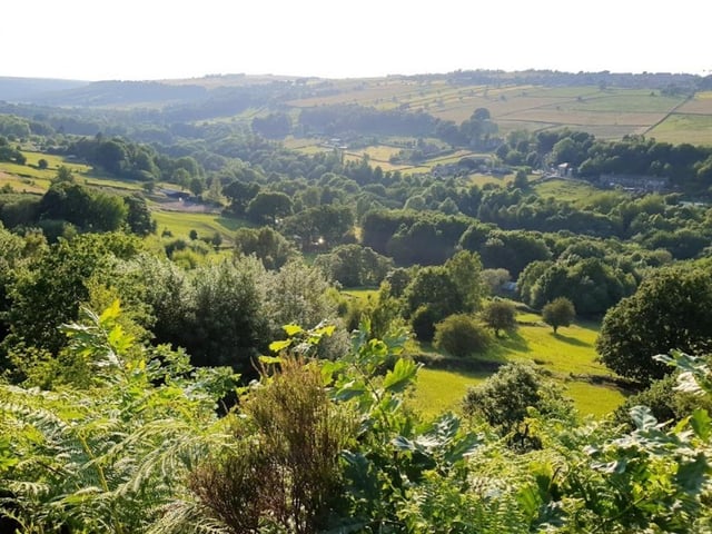 Rivelin Valley park has a plethora of beautiful, quiet spots for you and your kids to relax in. There's also a few nature trails here if you'd like to do a bit of walking.