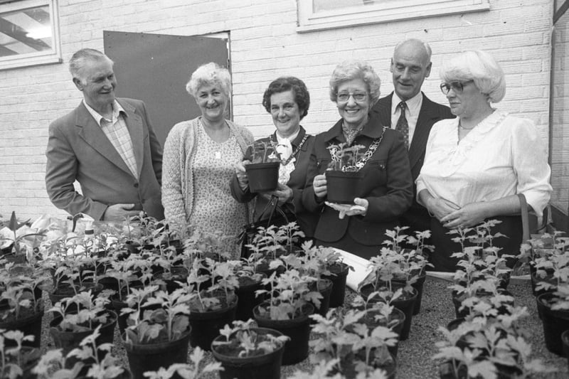 The Summerbell Allotment Association on Wearside was hailed 'Best in Britain' by the Mayor of Sunderland in September 1983. Remember this?