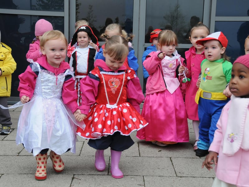 Toddlers from Buttercups Nursery at the start of their fancy dress charity walk at The Bunnyhill Centre, Sunderland. Remember this from 2012?