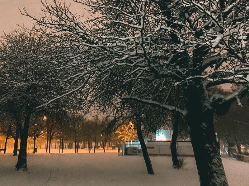 This gorgeous snowy picture was snapped by a resident in Glasgow at 3am last night.