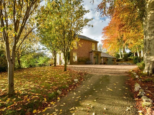 Driveway.