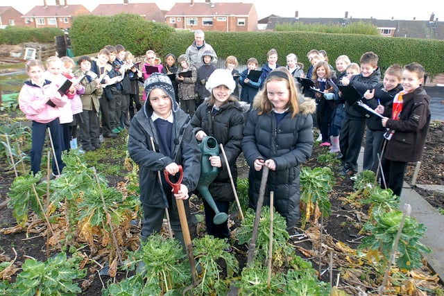 These students headed to the allotments for a lesson in gardening 13 years ago.