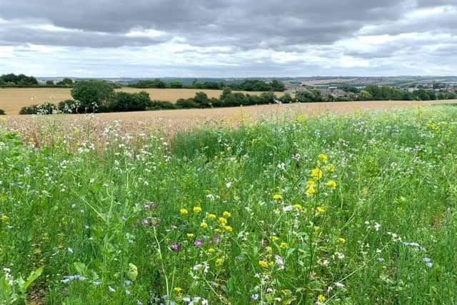 Well-used greenspace in Handsworth looks set to be destroyed under plans.