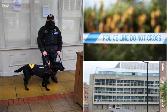 A drug dog has been active in Sheffield city centre